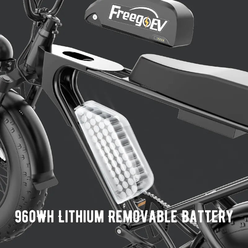 Freego GT200 Pro Off Road Mountain Electric Bike 20'' Fat tires 1200W Powerful Motor outdoor ebike