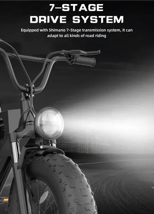 Freego GT200 Pro Off Road Mountain Electric Bike 20'' Fat tires 1200W Powerful Motor outdoor ebike